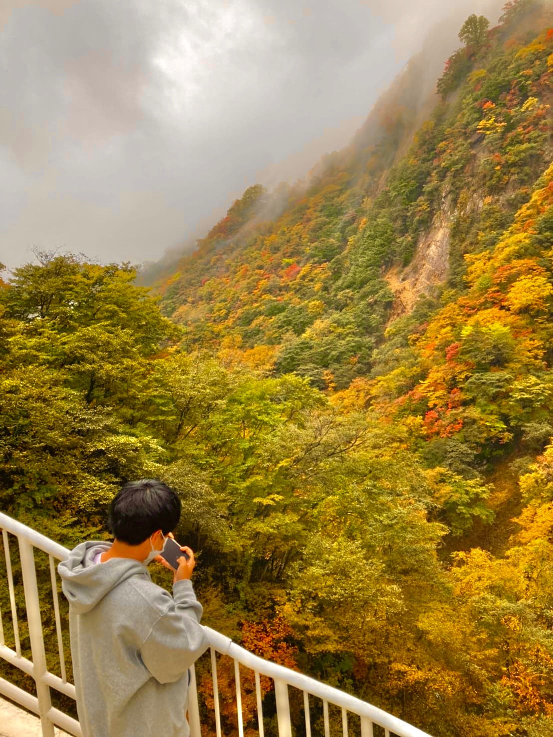 Misty autumn valley near Kegon Falls, Nikko, taken by Shota