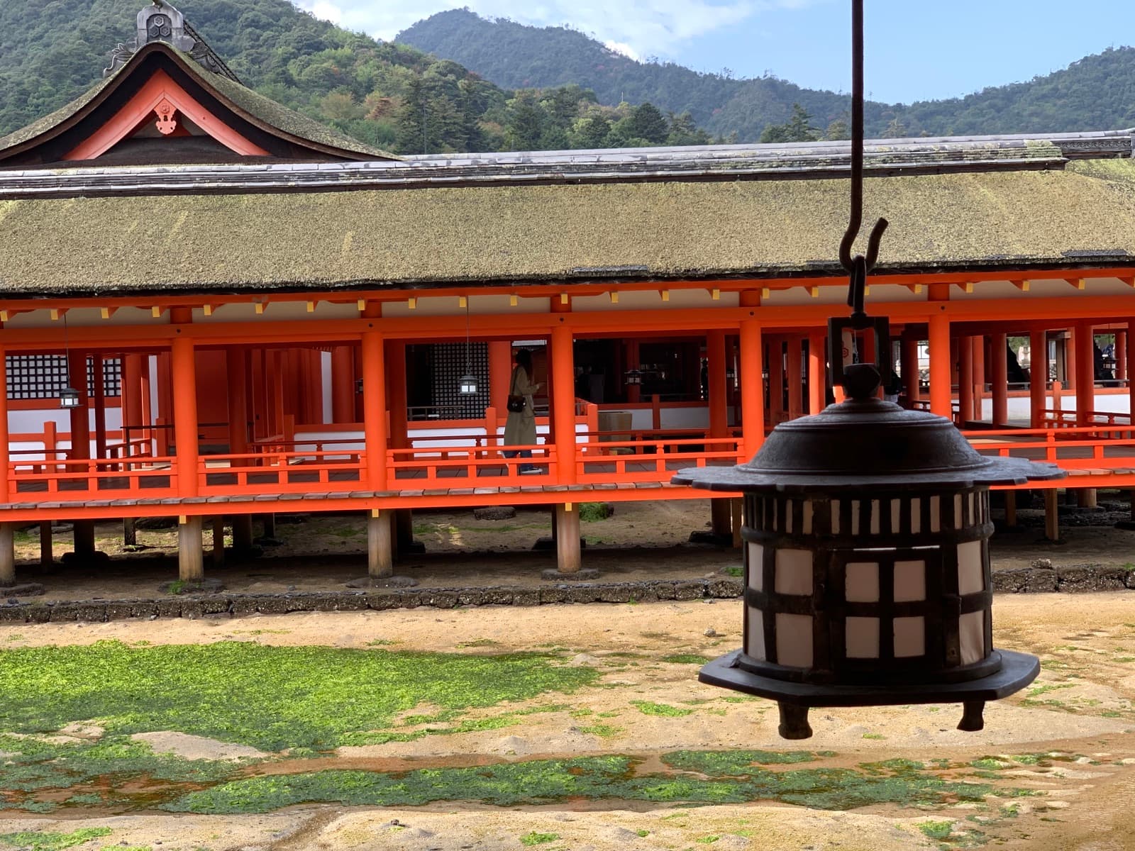 Itsukushima Shrine's floating torii walkway on Miyajima, taken by Shota