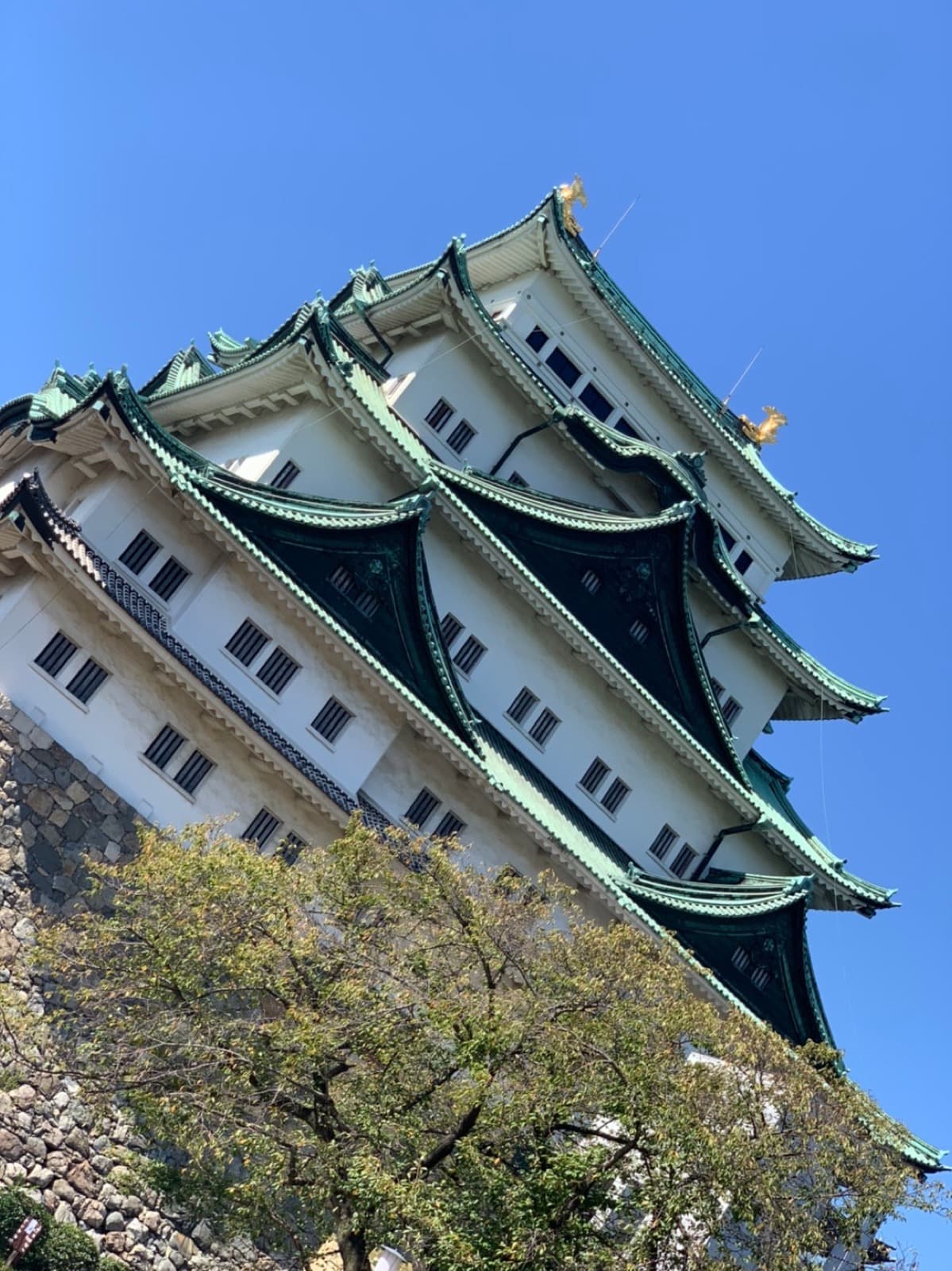 Is Nagoya Worth a Stop Between Tokyo and Kyoto?