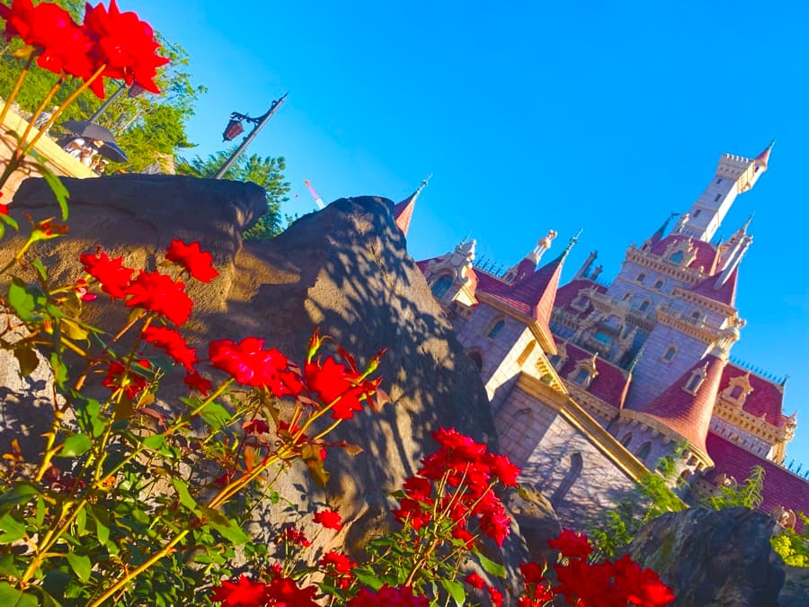 Shota at Tokyo Disneyland's Beauty and the Beast area
